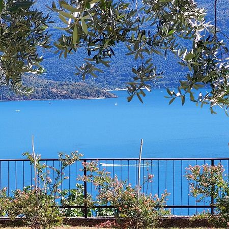 Casa Vacanze Perla Del Lago Domaso Exteriér fotografie