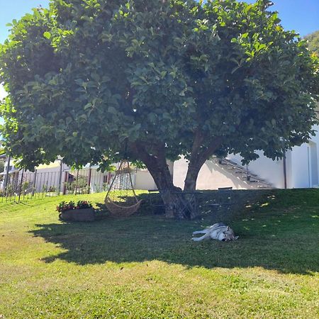 Casa Vacanze Perla Del Lago Domaso Exteriér fotografie