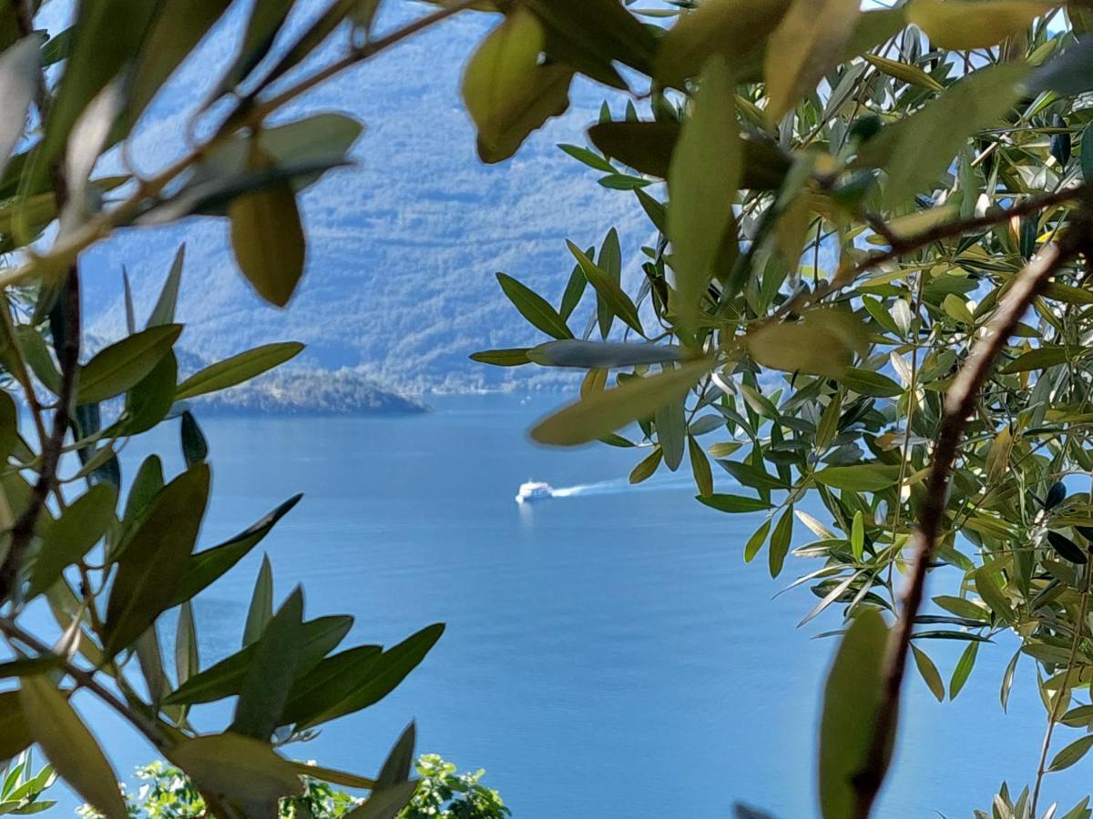 Casa Vacanze Perla Del Lago Domaso Exteriér fotografie