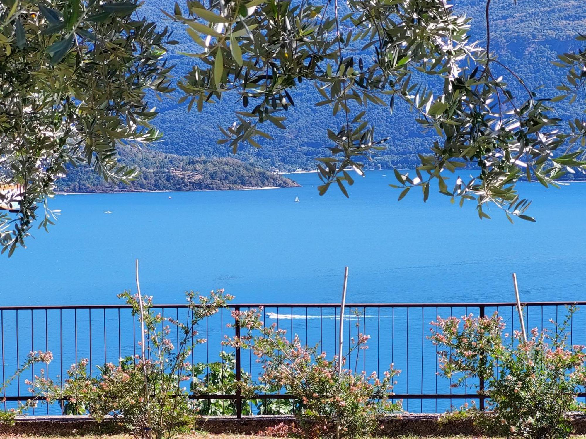 Casa Vacanze Perla Del Lago Domaso Exteriér fotografie