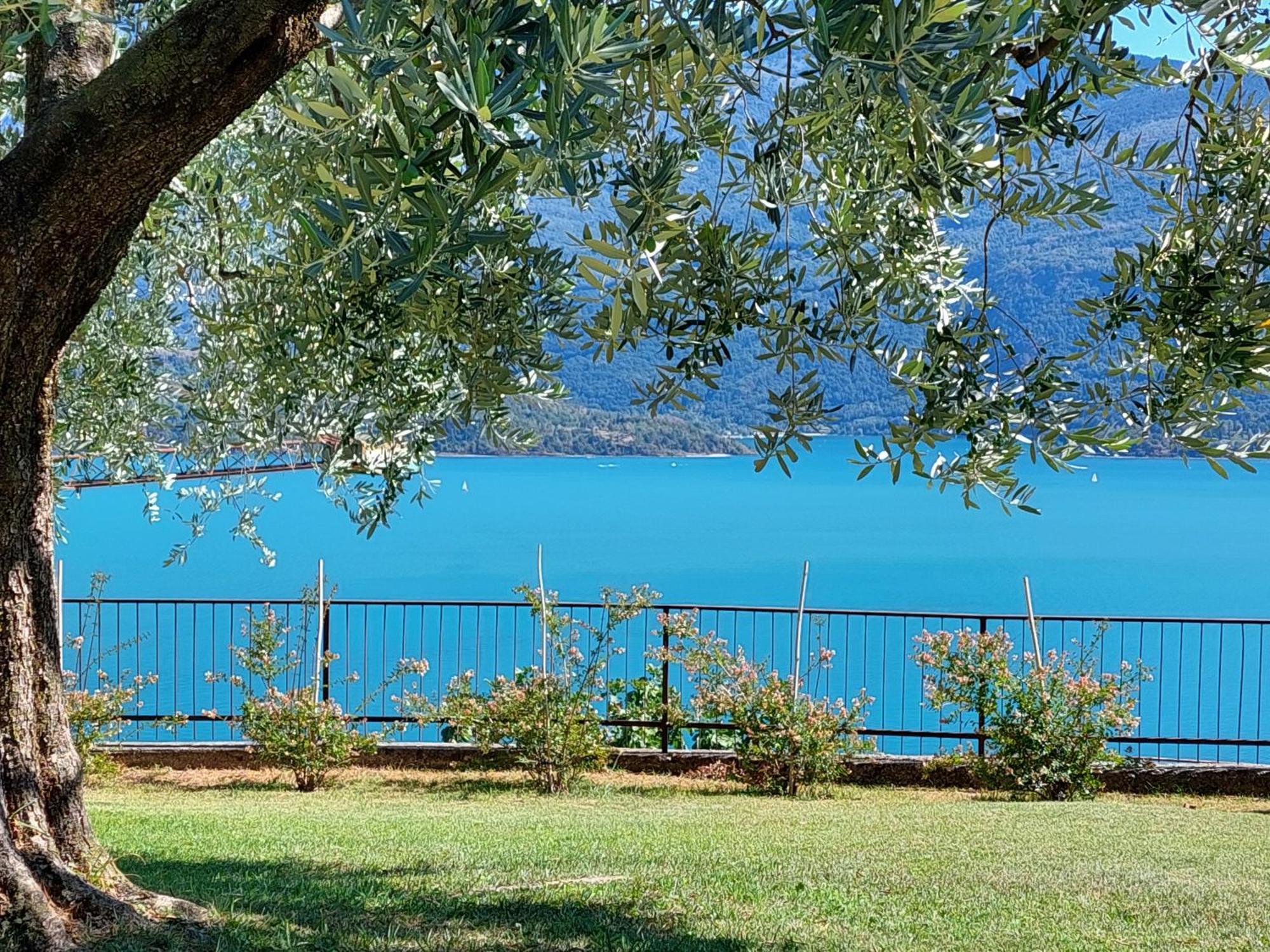 Casa Vacanze Perla Del Lago Domaso Exteriér fotografie